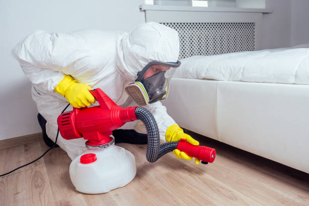 Best Affordable Pest Control Services  in Medfd, OR
