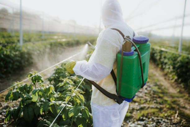 Best Bed Bug Extermination  in Medfd, OR